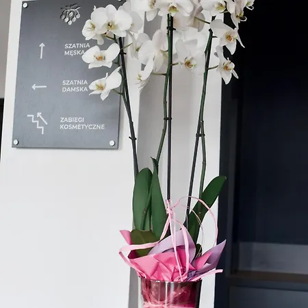 Jarzebinowy & Hotell *