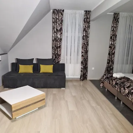 Hotel Jarzebinowy &