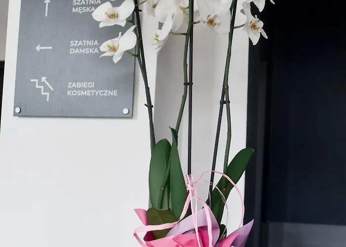 Jarzebinowy & Hotel *